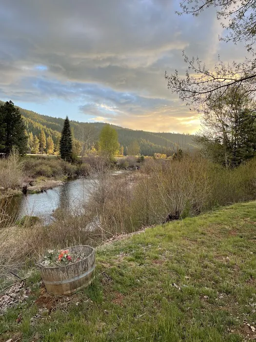 River Ranch RV Park Picture 3