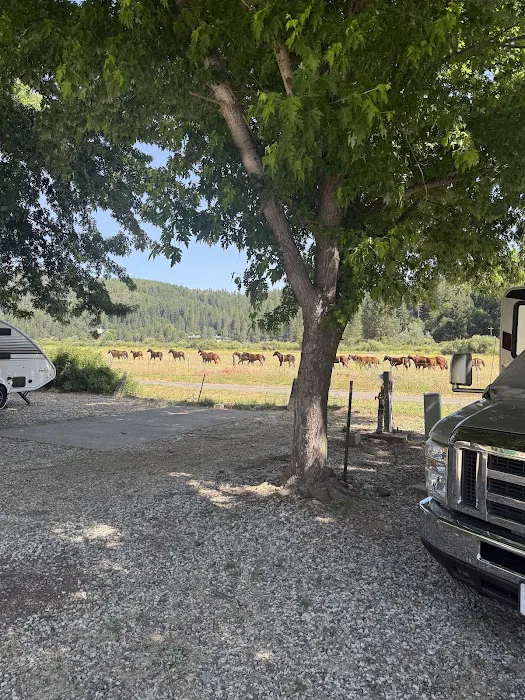 River Ranch RV Park Picture 5