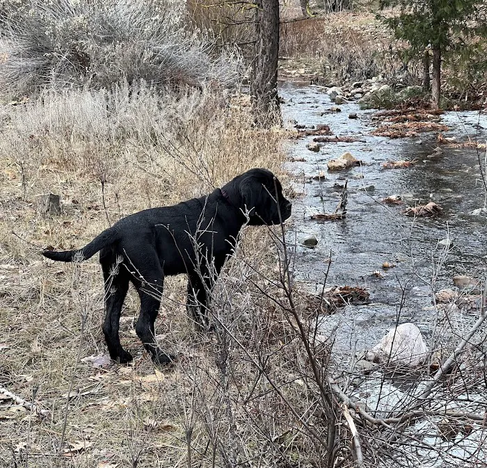 Arlington Heights Mobile Home & RV Park Picture 3