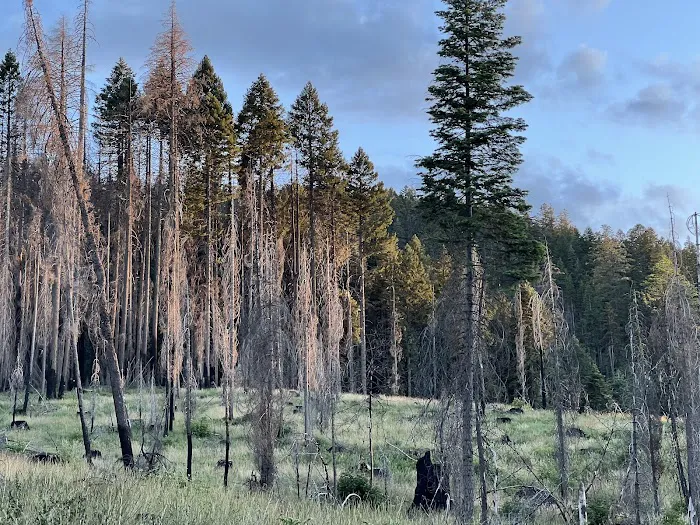 Arlington Heights Mobile Home & RV Park Picture 5