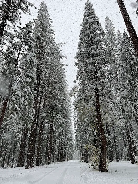 Arlington Heights Mobile Home & RV Park Picture 7