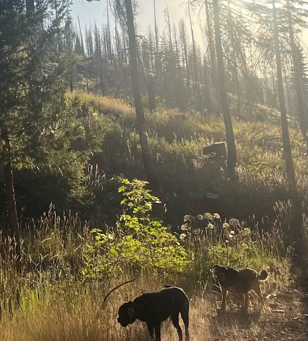 Arlington Heights Mobile Home & RV Park Picture 6