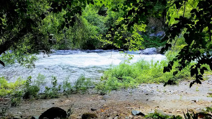 Caribou Crossroads RV Park Café Picture 10