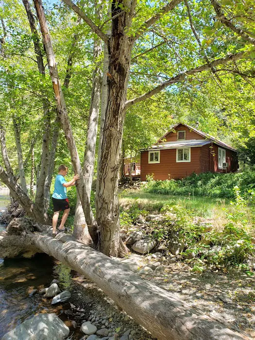 Caribou Crossroads RV Park Café Picture 8