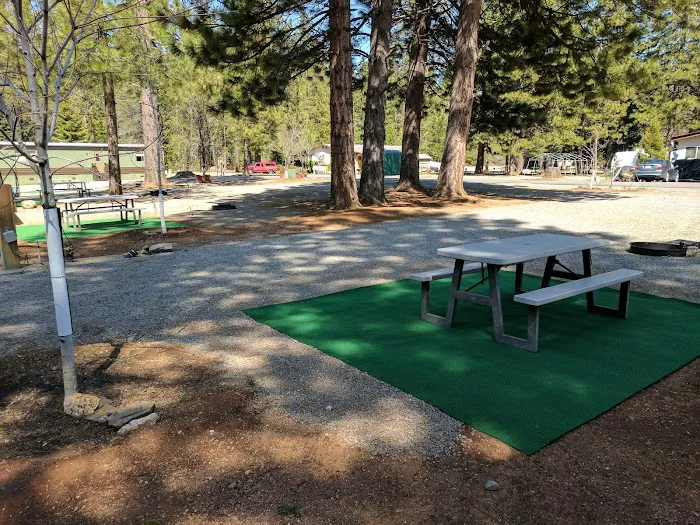 Lake Almanor RV Park Picture 6