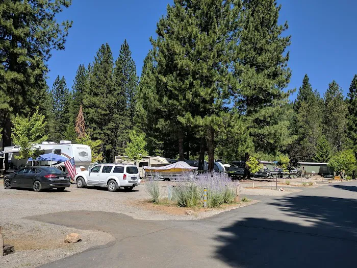Lake Almanor RV Park Picture 4