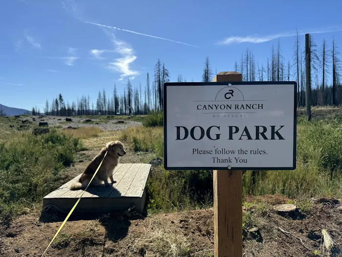 Canyon Ranch RV Picture 2