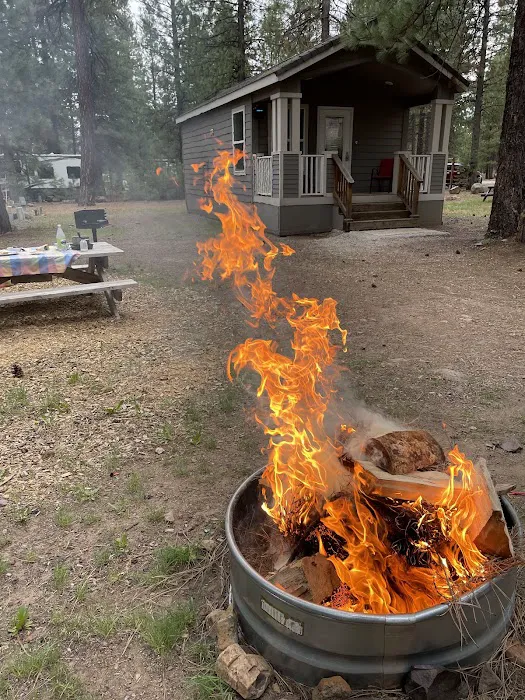 Lassen West RV and Airbnb Picture 4