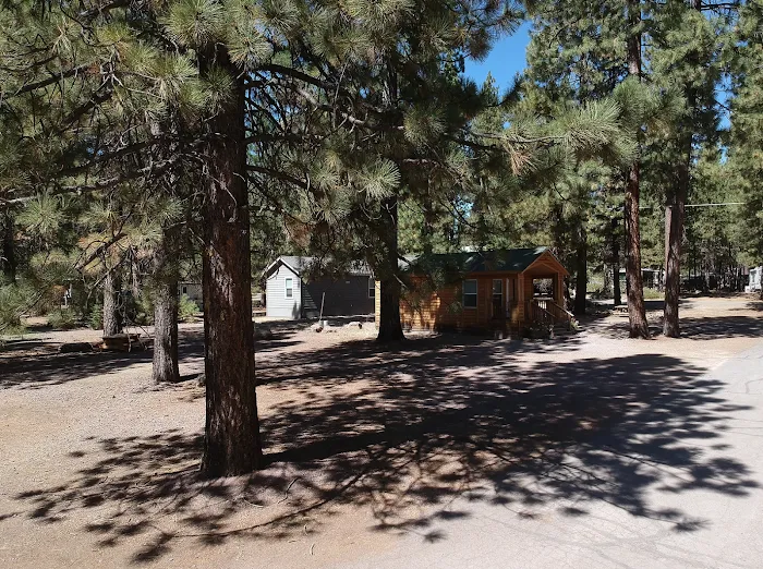 Lassen West RV and Airbnb Picture 5