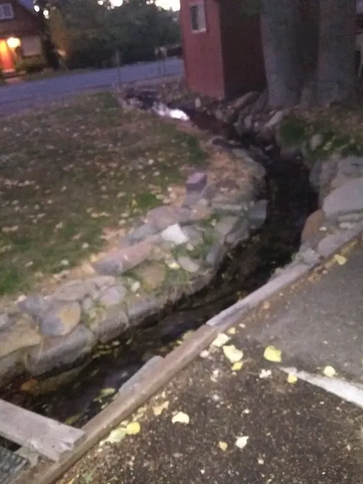 Leisure RV Park Picture 1