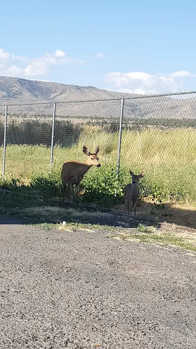 Hidden Acres Mobile Home Park Picture 1