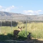 Hidden Acres Mobile Home Park