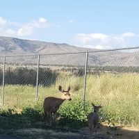 Hidden Acres Mobile Home Park ico