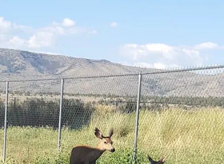 Hidden Acres Mobile Home Park