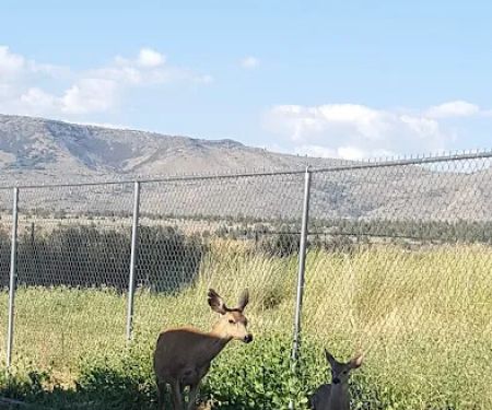 Hidden Acres Mobile Home Park