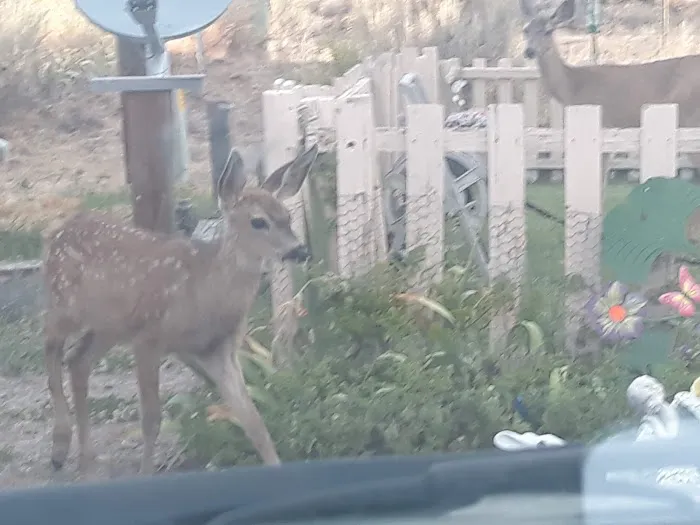 Pineview Mobile Home Park Picture 5