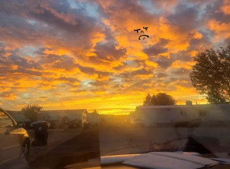 Pineview Mobile Home Park