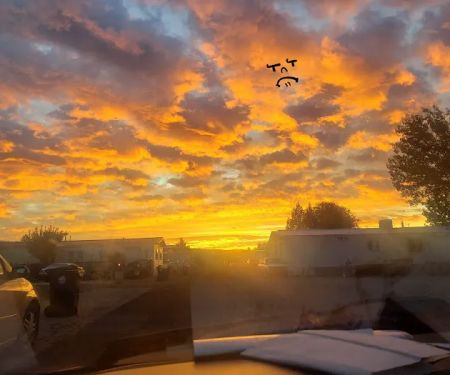 Pineview Mobile Home Park