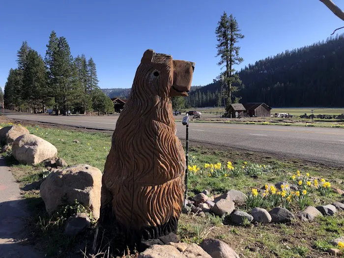 The Village at Highlands Ranch Picture 9