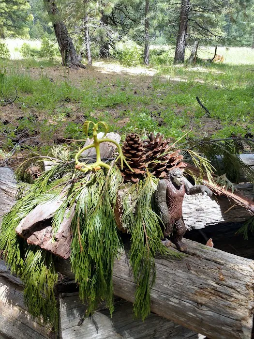 Volcano Country RV Park Picture 1