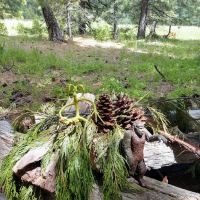 Volcano Country RV Park ico