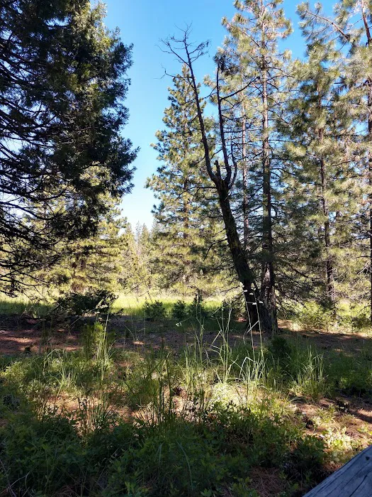 Volcano Country RV Park Picture 2