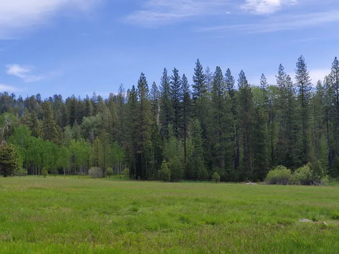 Volcano Country RV Park Picture 5