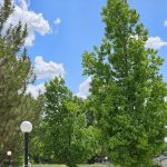 Susanville RV Resort