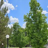 Susanville RV Resort ico