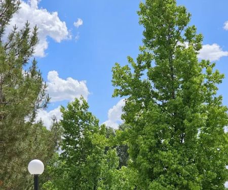 Susanville RV Resort