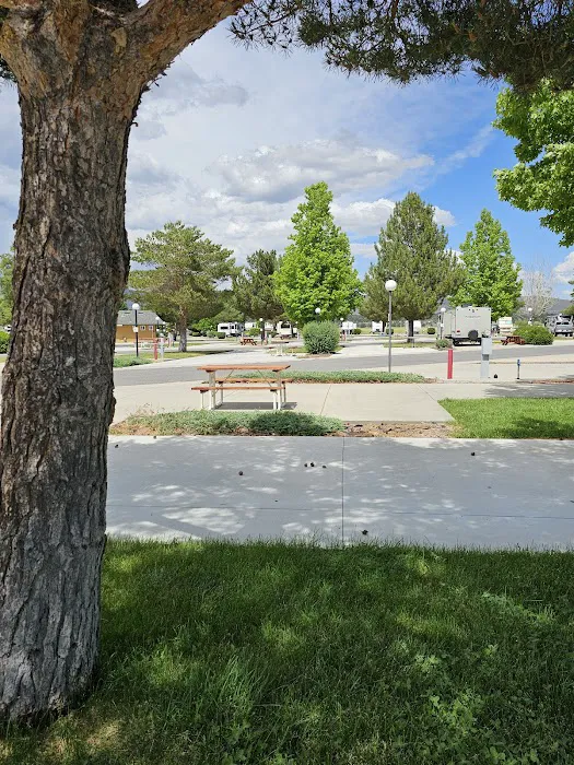 Susanville RV Resort Picture 10