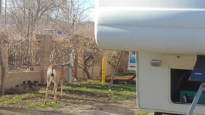 Susanville Village RV Park Picture 5