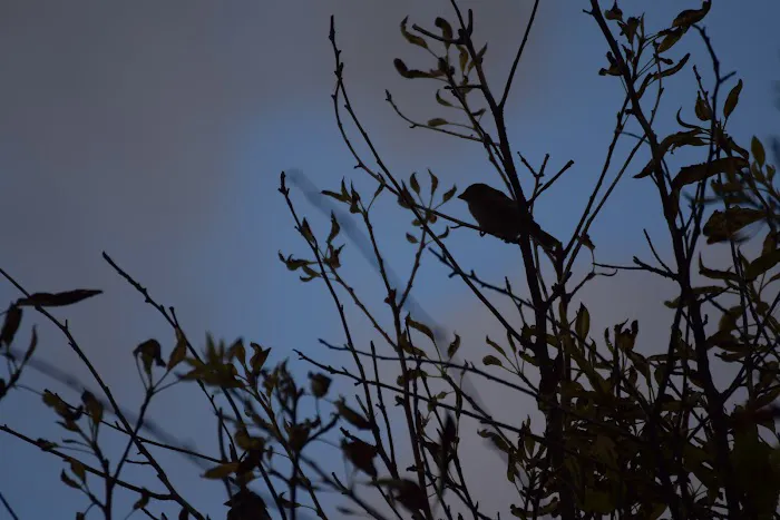 Days End RV Park Picture 3