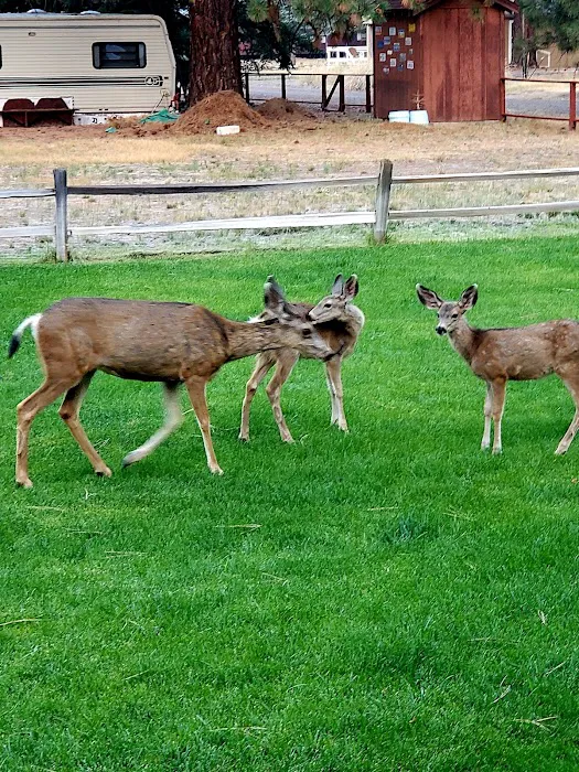 Eagle Lake RV Park Picture 6