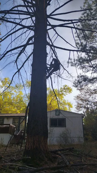 Creekside Mobile Estates Picture 2