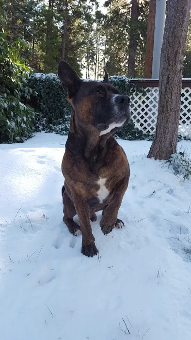 Pine Ridge Park Estates Picture 2