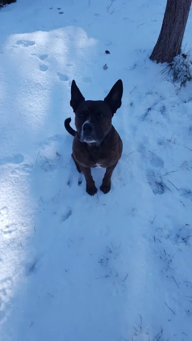 Pine Ridge Park Estates Picture 1