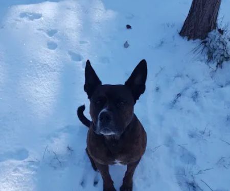 Pine Ridge Park Estates