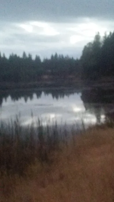 Pine Ridge Park Estates Picture 3