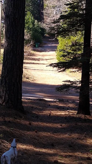 Pine Ridge Park Estates Picture 5