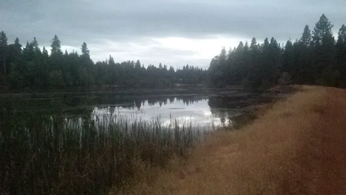 Pine Ridge Park Estates Picture 4