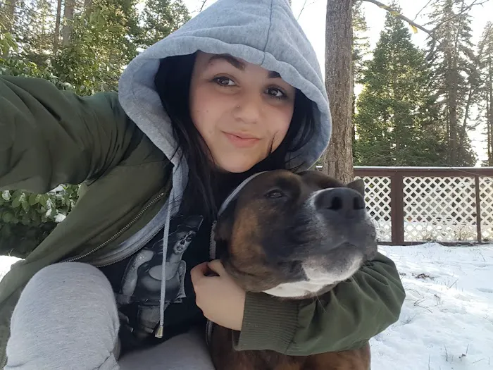 Pine Ridge Park Estates Picture 7