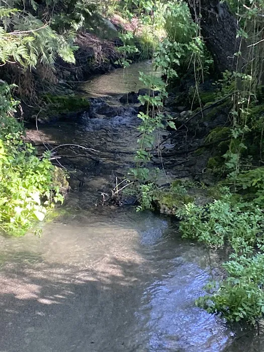 Nelson Falls RV Park Picture 2