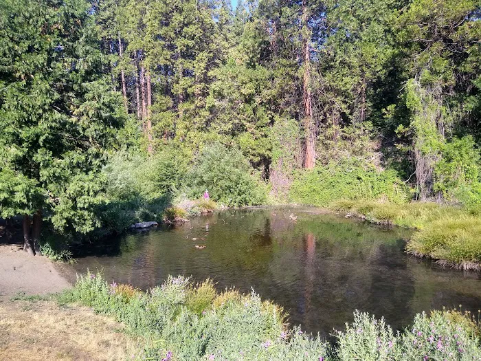 Nelson Falls RV Park Picture 10