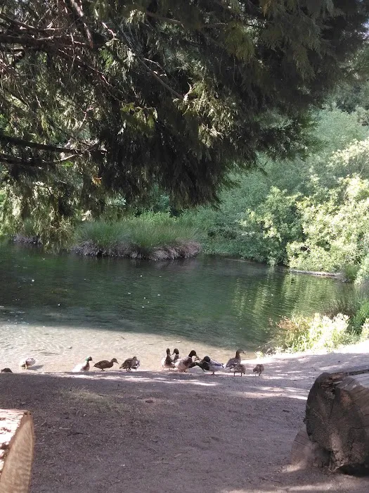 Nelson Falls RV Park Picture 7