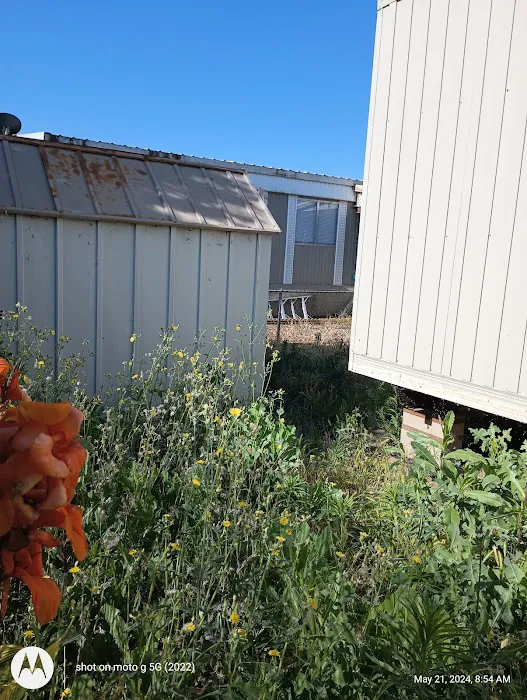 Golden Hills Picture 1