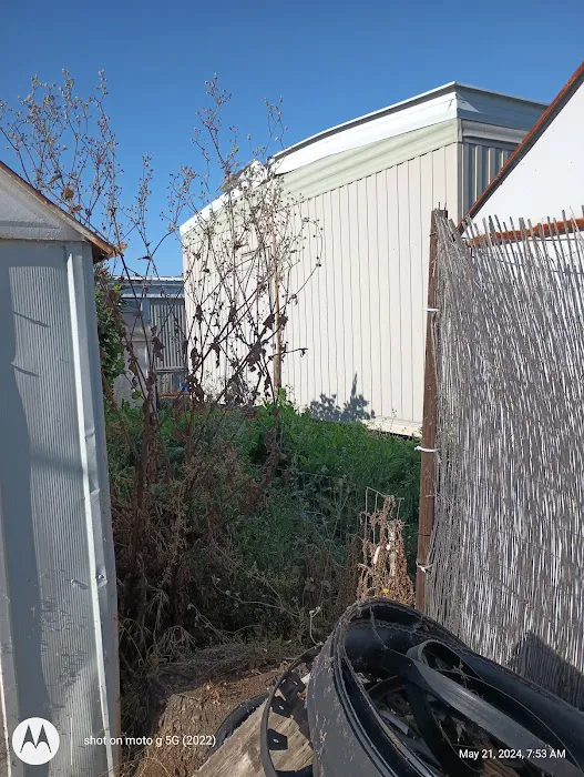 Golden Hills Picture 2