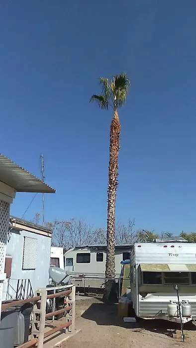Porterville Trailer Park Picture 2