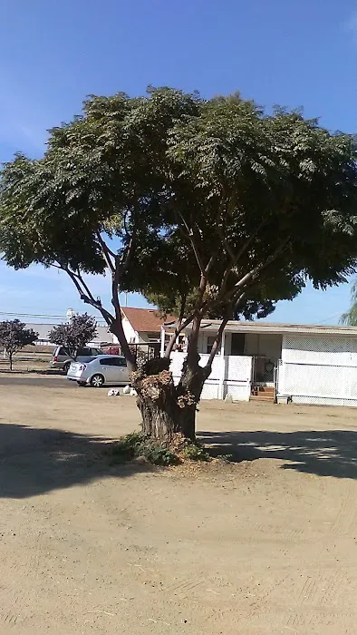 Porterville Trailer Park Picture 3