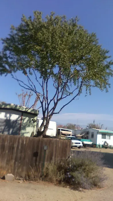 Porterville Trailer Park Picture 1